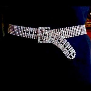 Swarovski Vintage Crystal Encrusted Belt